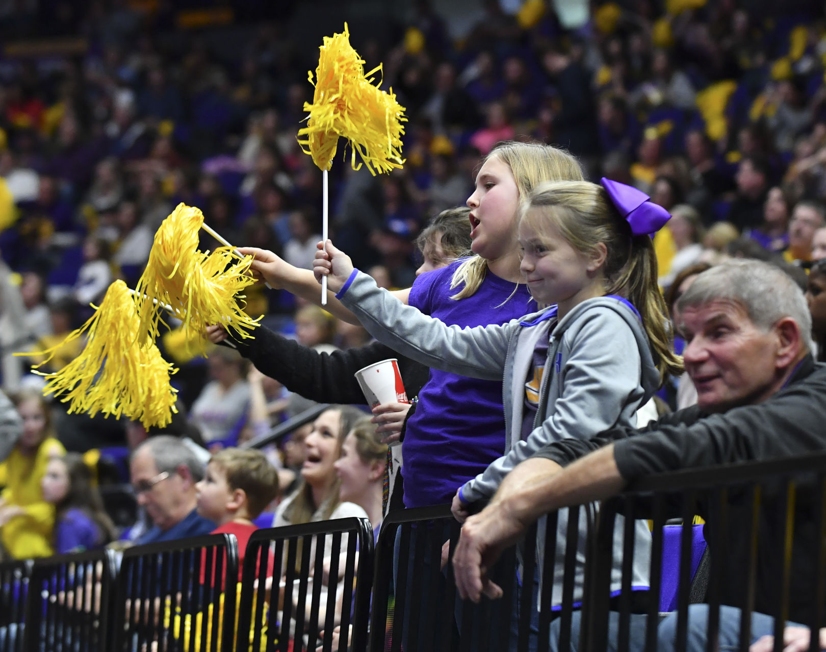 lsucalgymnastics.010519_HS_2093